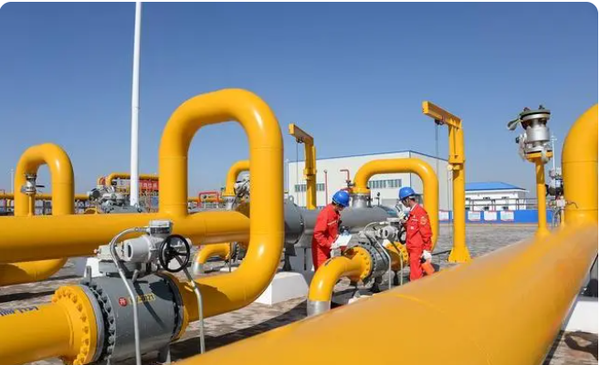 可燃有毒氣體監(jiān)測(cè)管理系統(tǒng)